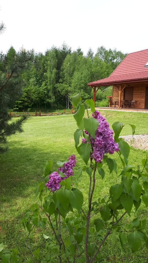 Dom Nad Dolina Sanu Villa Ruszelczyce Ngoại thất bức ảnh
