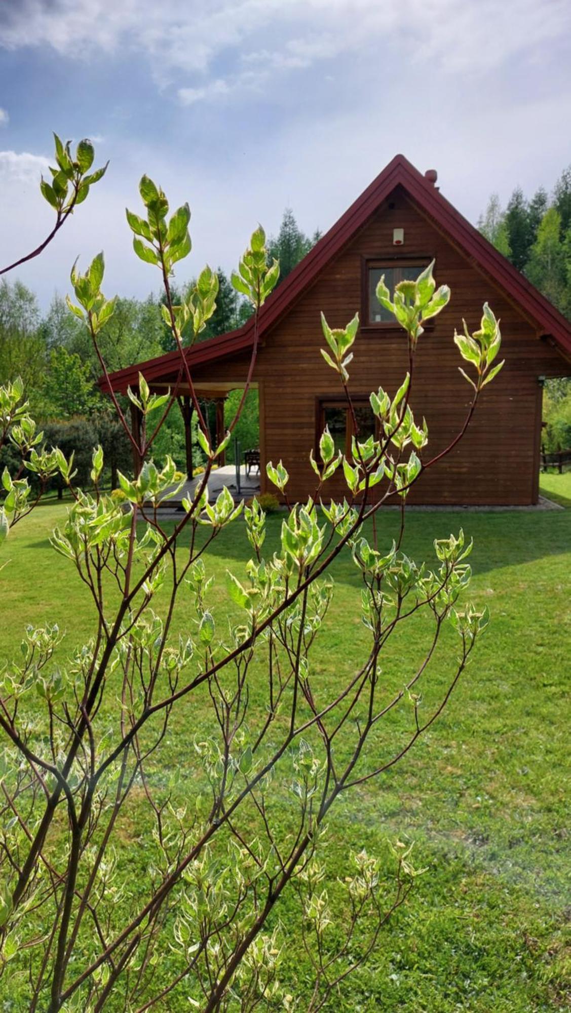 Dom Nad Dolina Sanu Villa Ruszelczyce Ngoại thất bức ảnh